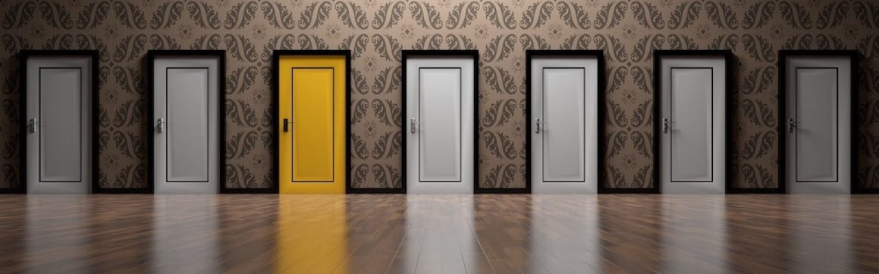 Coche gasolina, diesel, hibrido o enchufable